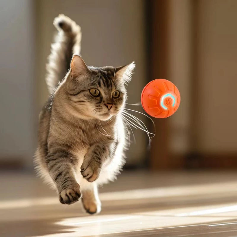 Interactive Pet Ball Toy Electric Smart Training Ball Toy For Cat Automatic Moving Dog Ball USB Cat Glowing Toy Pet Supplies