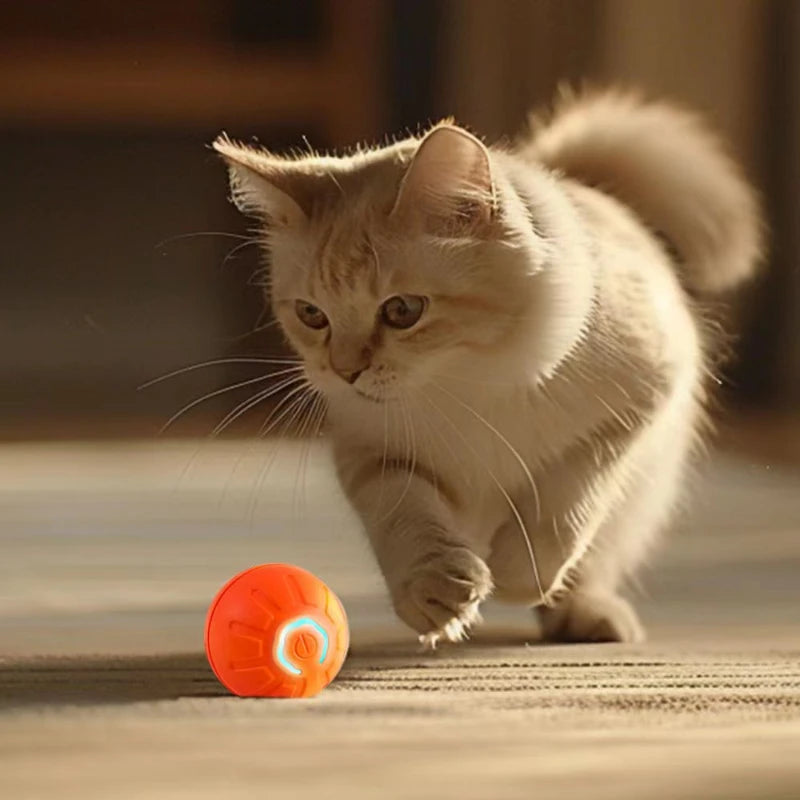 Interactive Pet Ball Toy Electric Smart Training Ball Toy For Cat Automatic Moving Dog Ball USB Cat Glowing Toy Pet Supplies